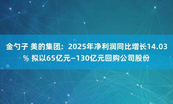 金勺子 美的集团：2025年净利润同比增长14.03% 拟以65亿元—130亿元回购公司股份