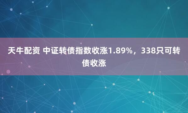 天牛配资 中证转债指数收涨1.89%，338只可转债收涨